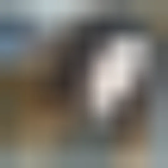Diana, 21 anni — incontri sesso a Aosta