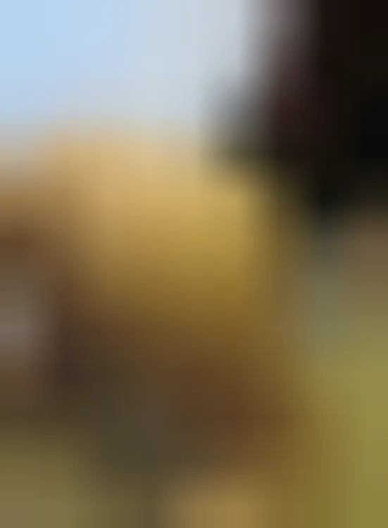 Nadia, 37 anni — incontri sesso a Terni