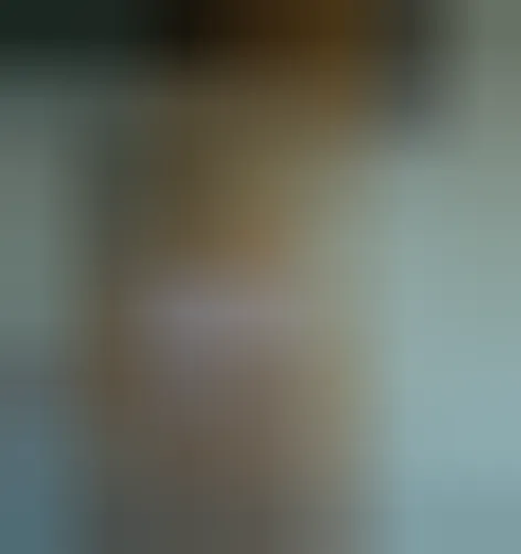 Silvia, 25 anni — incontri sesso a Casalecchio di Reno