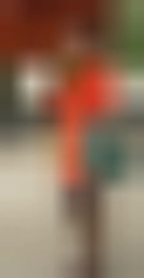 Carmela, 26 anni — incontri sesso a Carini