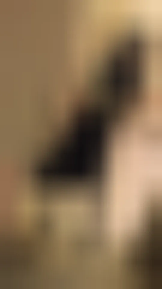 Sofia, 25 anni — incontri sesso a Rovigo