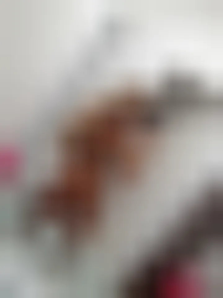Alessandra, 31 anni — incontri sesso a Velletri