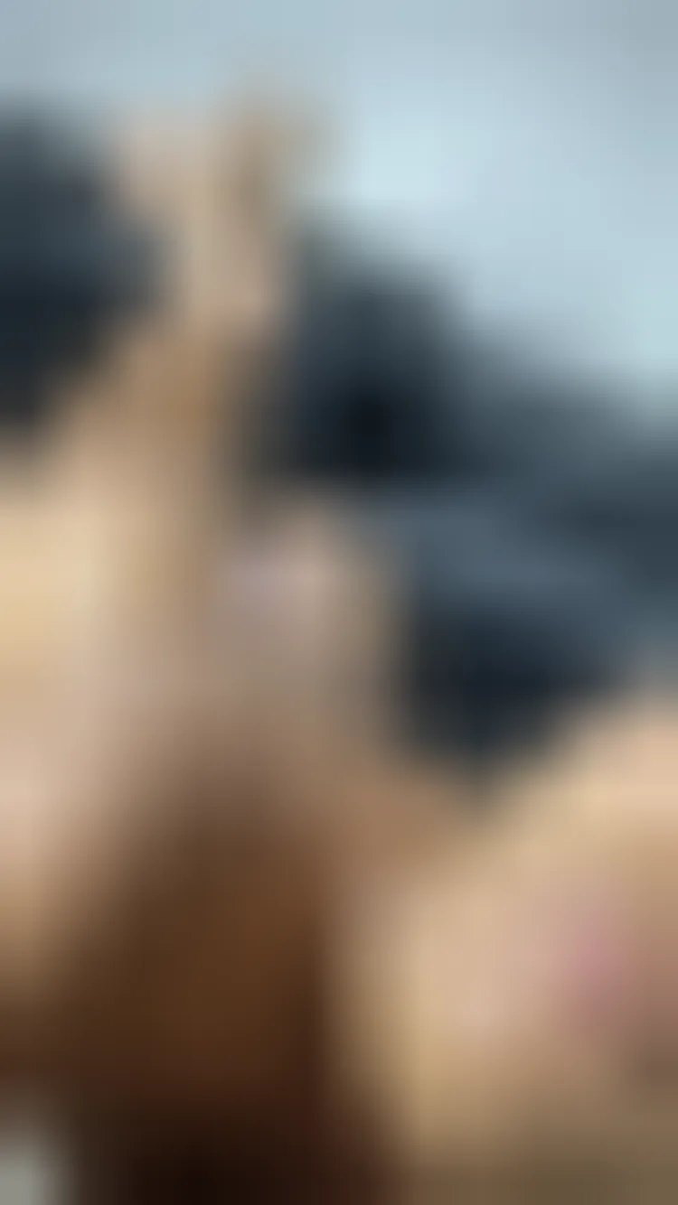 Giulia, 27 anni — incontri sesso a Parma